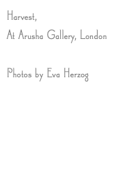 Harvest, At Arusha Gallery, London Photos by Eva Herzog