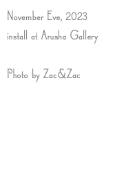November Eve, 2023 install at Arusha Gallery Photo by Zac&Zac 