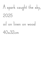 A spark caught the sky, 2025 oil on linen on wood 40x32cm