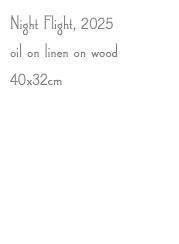 Night Flight, 2025 oil on linen on wood 40x32cm 