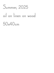 Summer, 2025 oil on linen on wood 50x40cm