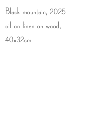 Black mountain, 2025 oil on linen on wood, 40x32cm