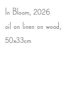 In Bloom, 2026 oil on linen on wood, 50x33cm